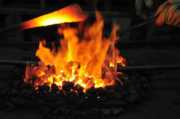 Glowing iron in glowing coal in a forging forge