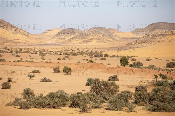 Nubian Desert