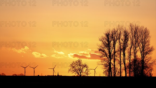 Dramatic evening sky with sunset over the Elbe dike