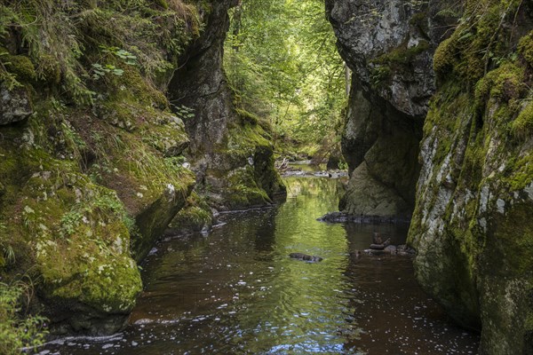 Haslachschlucht