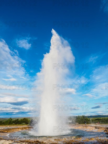 Geyser