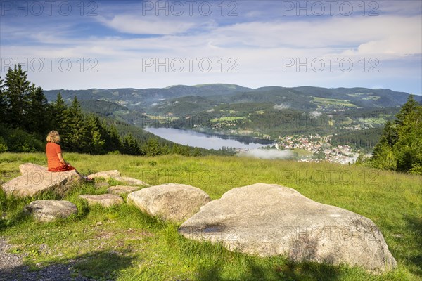 Landscape with meadows