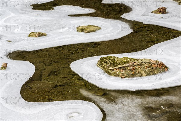 Forms and structures of ice on water