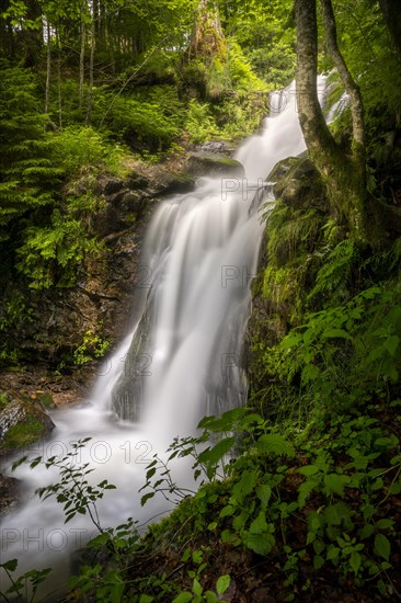 The Stuebenbach stream and part of the Todtnau waterfall in the forest