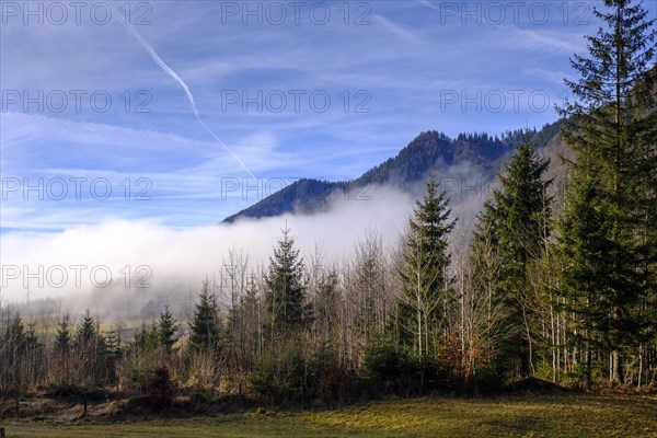 Buchauer Sattel near Admont