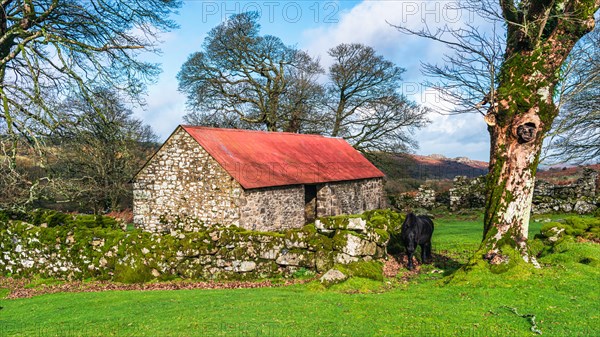 Panorama of Emsworthy Mire