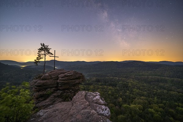 Palatinate Forest