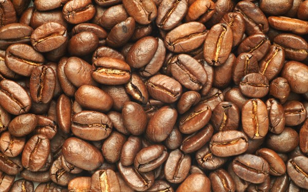 Roasted coffee beans