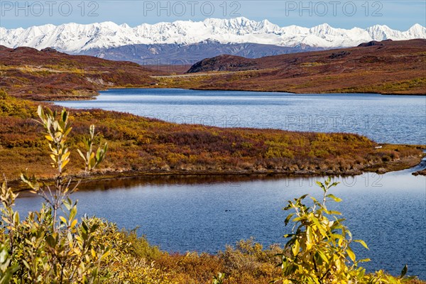 The Alaska Range