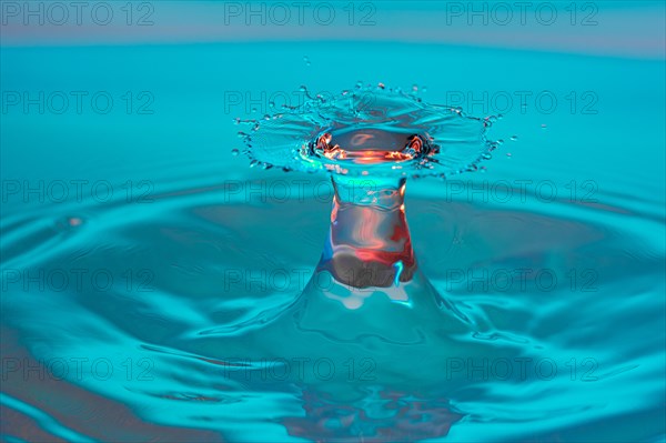 Macro Water Drop