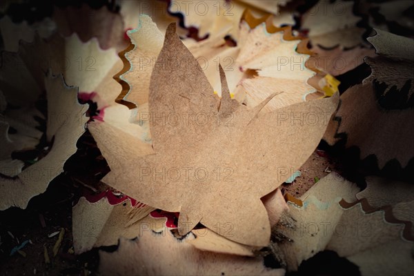 Paper is cut out in shape of a butterfly