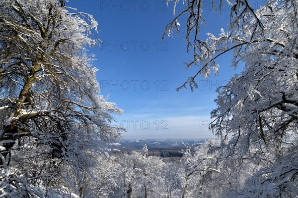 Snowy winter landscape in the forest of Moerschieder Burr in sunshine with a view in the Hunsrueck-Hochwald National Park