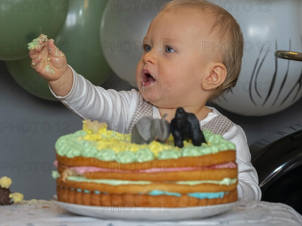 One-year-old boy sits in front of his birthday cake on his first birthday and tries to see if it tastes good