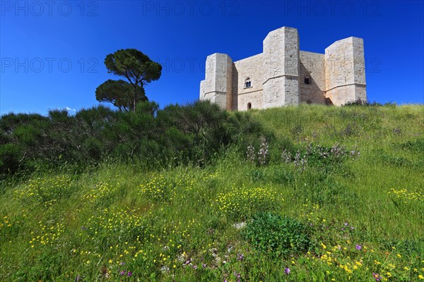 Castel del Monte