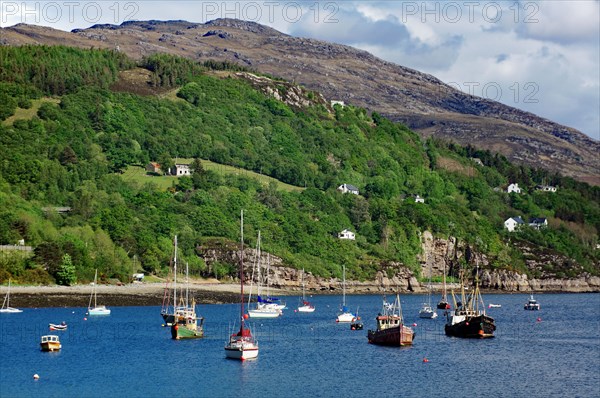 Small harbour with many fishing and leisure boats