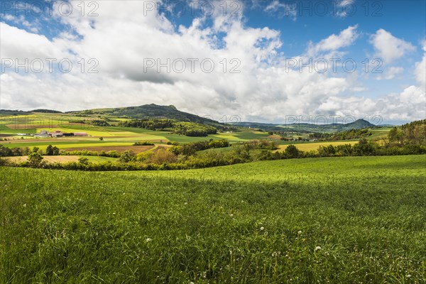 Hegau landscape with view of the Hegau volcanoes Hohenstoffeln and Hohenhewen