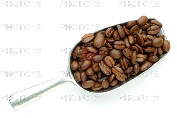 Roasted coffee beans