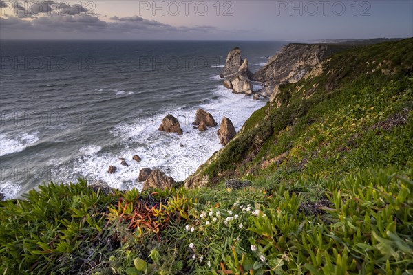 Sunset on the cliff with rocks in the sea