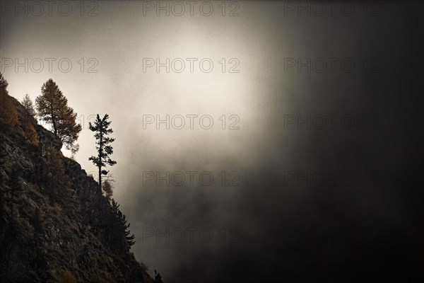 Autumn trees on rocky ridge in backlight with threatening cloudy sky