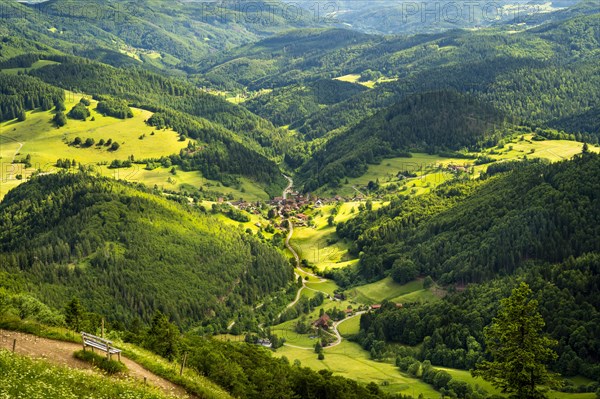 Hilly landscape with a village