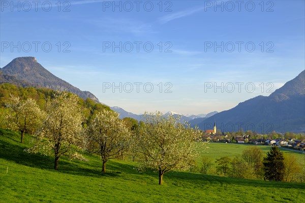 Chapel and flowering meadow orchard