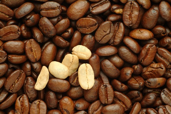 Roasted coffee beans