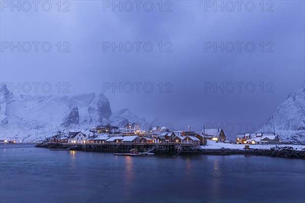 Yellow rorbuer in winter