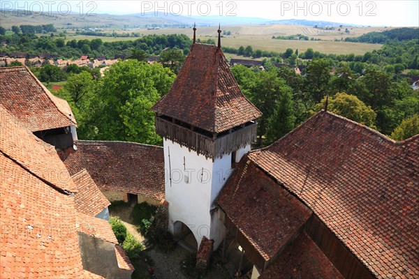 View from the tower