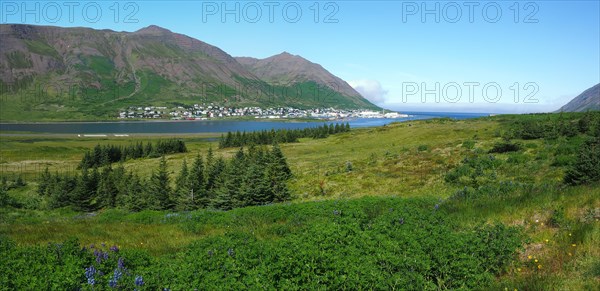 Blue sky over fjord