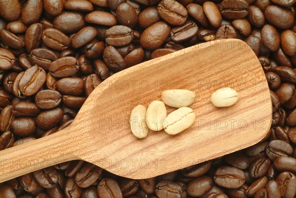 Roasted coffee beans