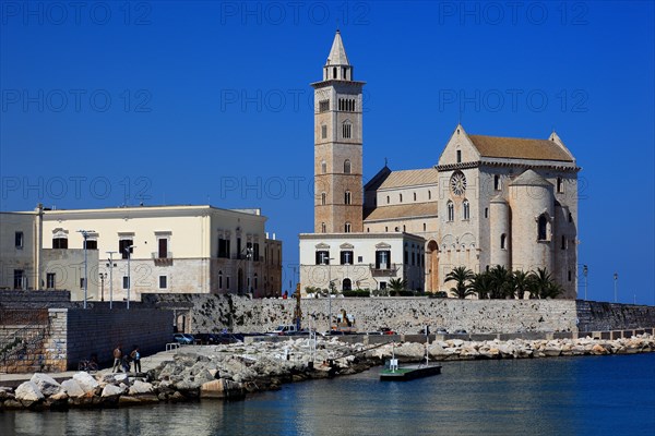 Cathedral of San Nicola Pellegrino