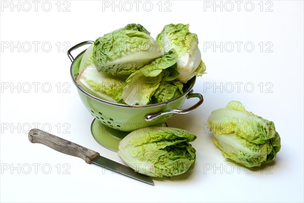 Baby Salad in Kitchen Strainer