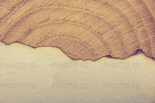 Paper with some burned edges