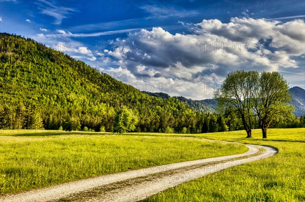 Jachental with a view of the Bavarian Pre-Alps