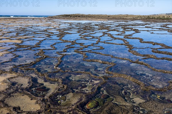 Coast and beach at low tide