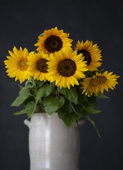 Bouquet of Sunflowers in Ceramic Vase