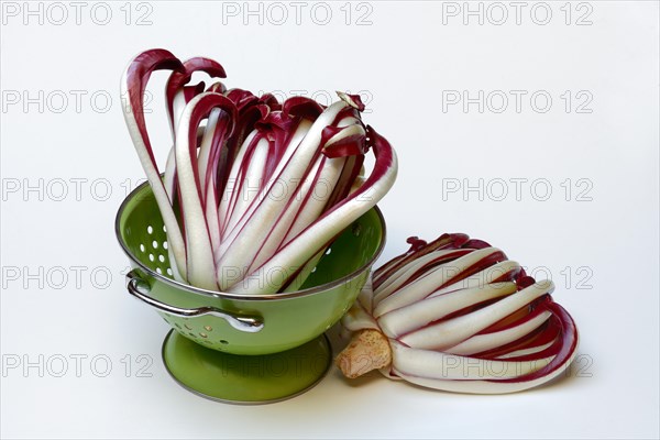 Radicchio