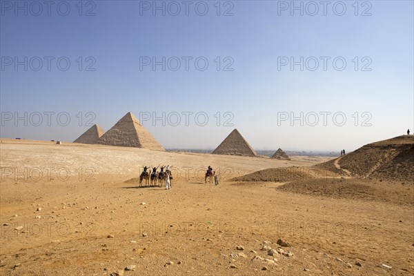 Camel riding on the west side of the pyramids