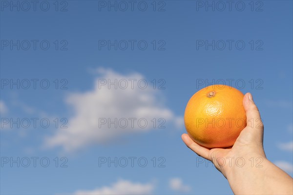 Womans hands holding a grapefruit with a cloudy sky in the background