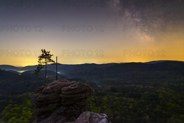 Palatinate Forest