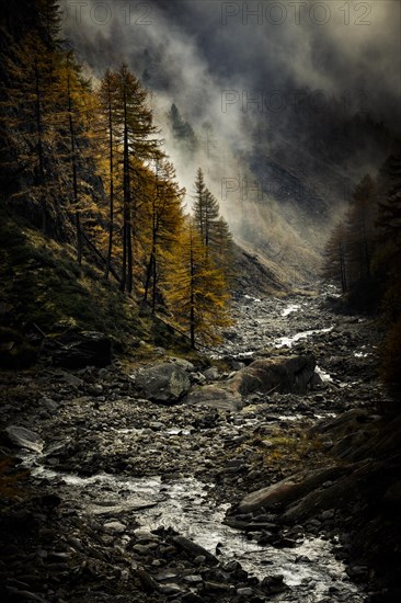 Autumn trees in gorge backlit with threatening cloudy sky