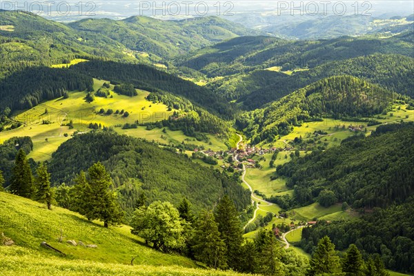 Hilly landscape with a village