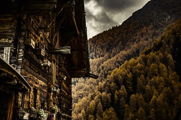 Alpine hut in autumnal mountain landscape with threatening cloudy sky