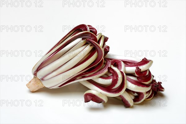 Radicchio