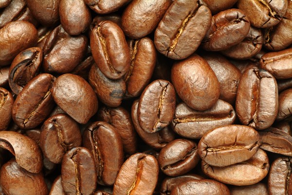 Roasted coffee beans