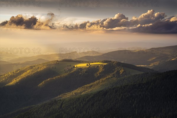 Hilly landscape with forests and meadows