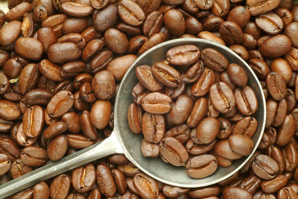 Roasted coffee beans