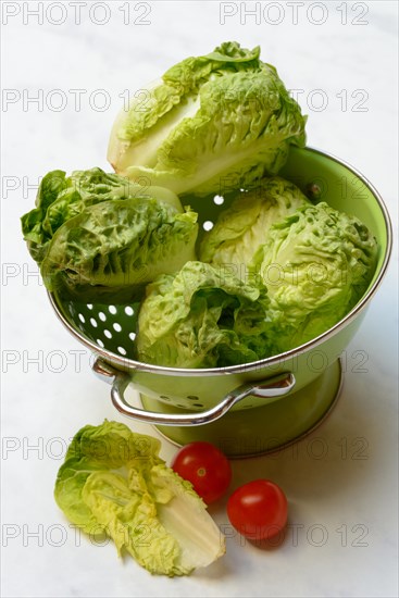 Baby lettuce in kitchen strainer and tomatoes