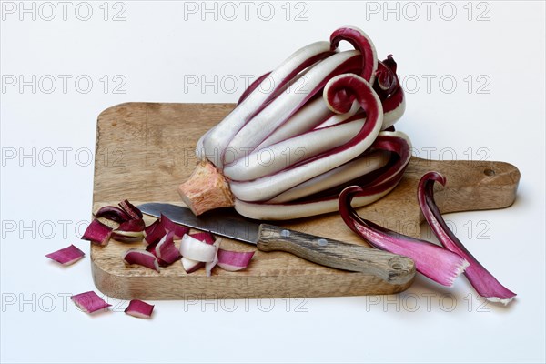 Radicchio