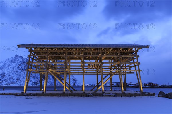 Fish rack for drying cod